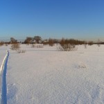 Лыжня в лес