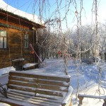 Остатки новогоднего праздника